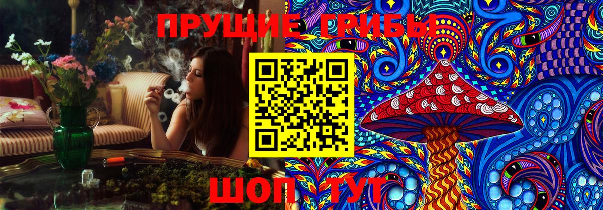 Мыски  Псилоцибиновые грибы MAGIC MUSHROOMS  Вход с VPN 